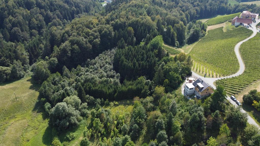 Bullas Weinlandstudio 1