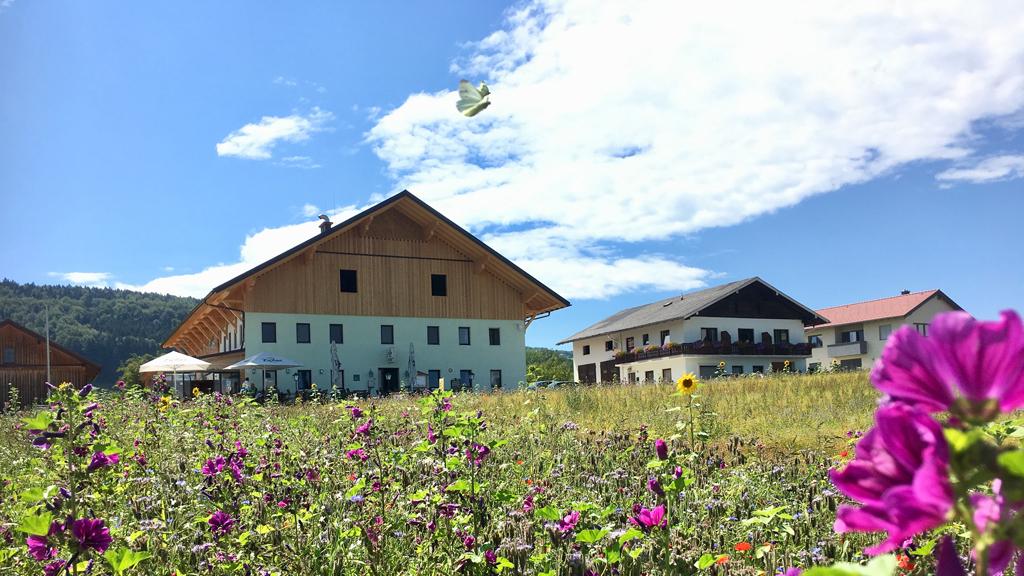 Gasthof Kreuzer in Attersee am Attersee