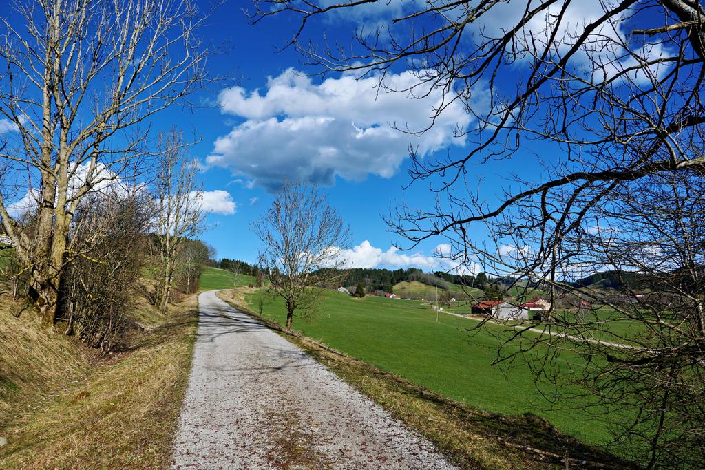Frühling im Weitnauer Tal - Radweg