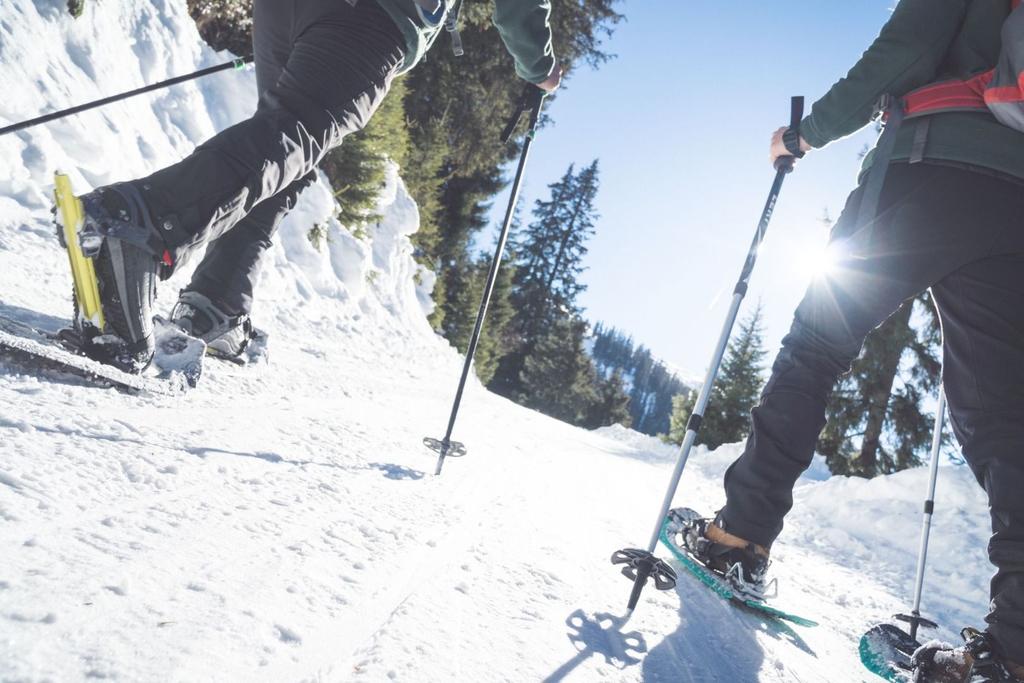 Schneeschuhwanderung auf Forstweg