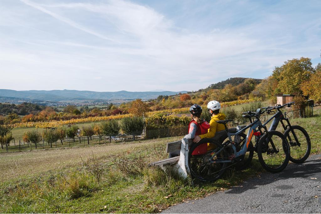 E-Bike Tour