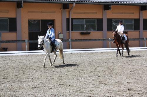 Reitgut Lammertal