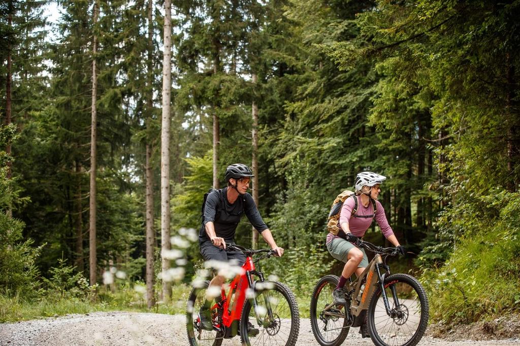 e-bike füller3.jpg