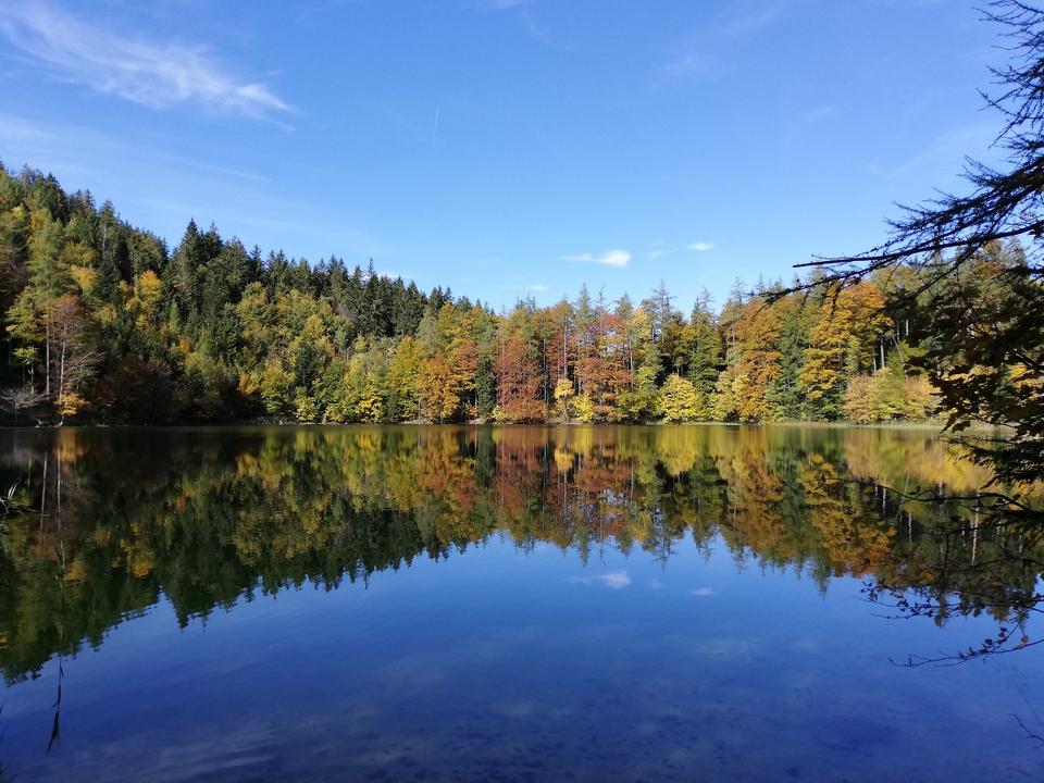 Der Eibensee im Herbst