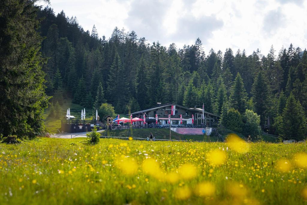Wildmoosalm in der Region Seefeld