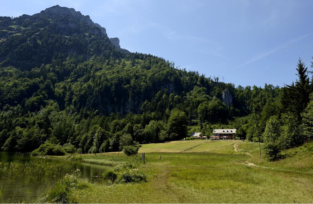 gruenberg_sommer(c)karl_heinz_ruber (8)