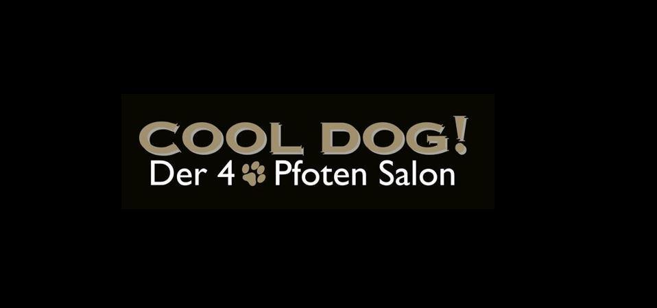 Cool Dog Salon