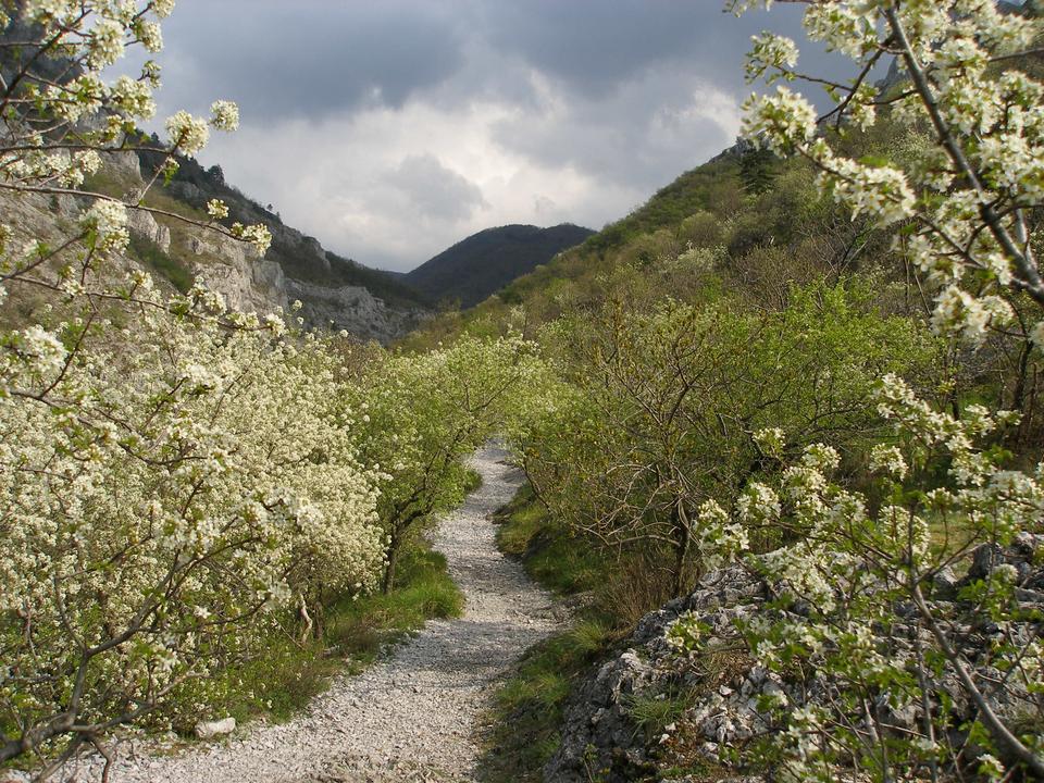Val Rosandra
