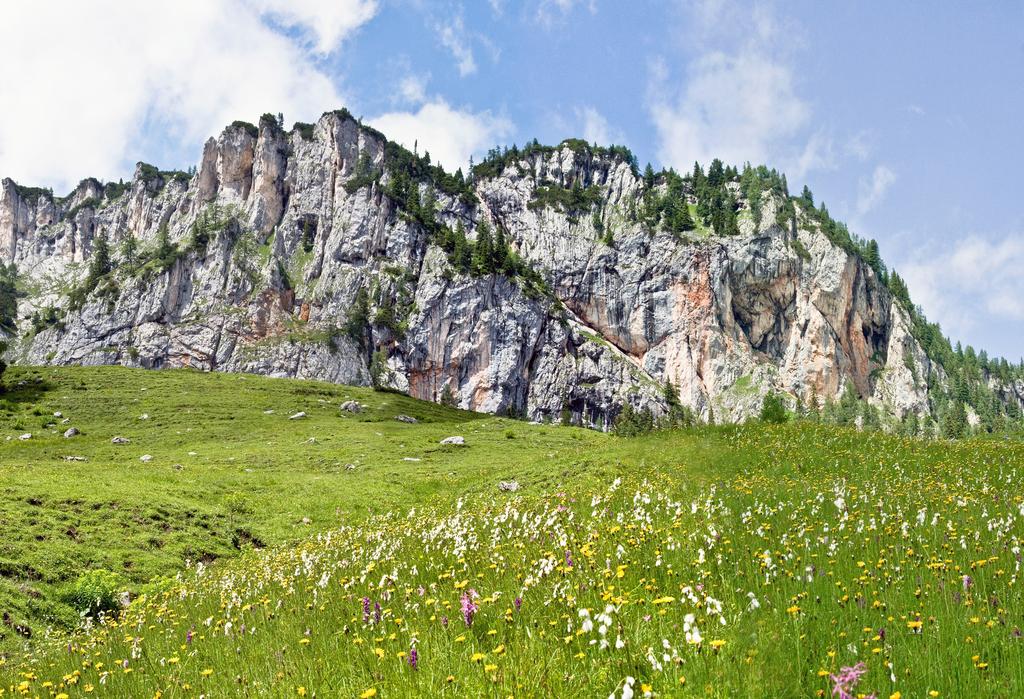 Rote Wand
