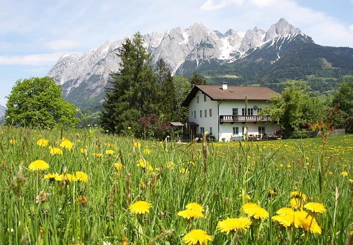 Plainberggut