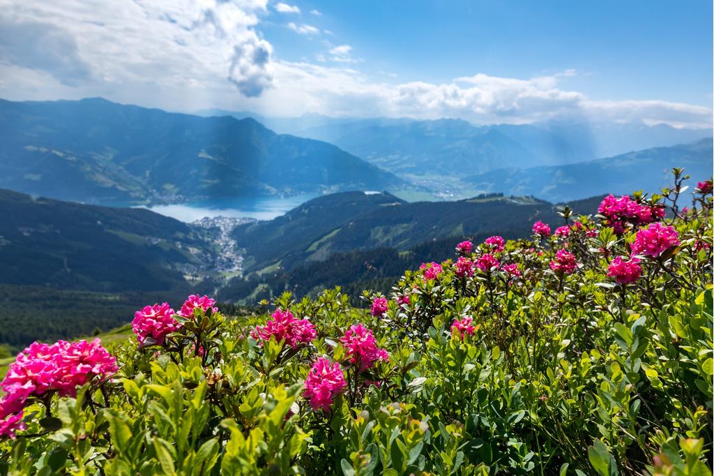 Hohe Tauern Panorama Trail – ET10 Zeller See
