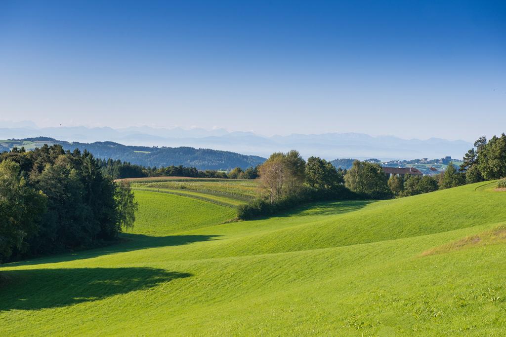 baumbergweg