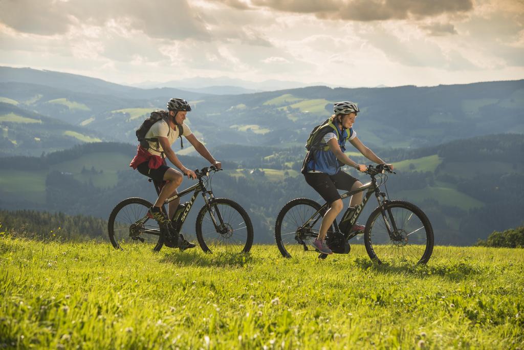 E-Bike Verleih_Mountainbiker_Oststeiermark