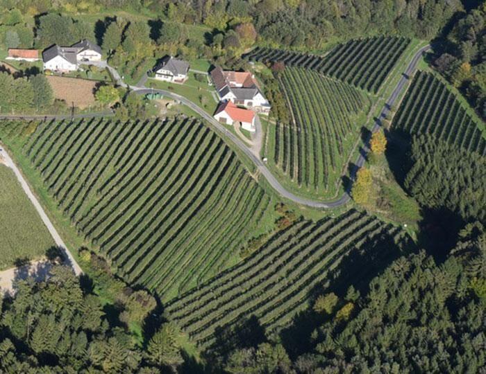 Luftbildaufnahme Obsthof Alber