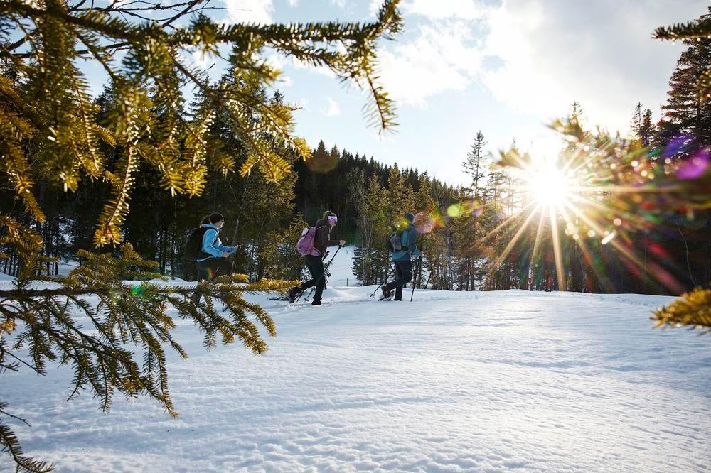 Schneeschuhwanderung am Wasenmoos
