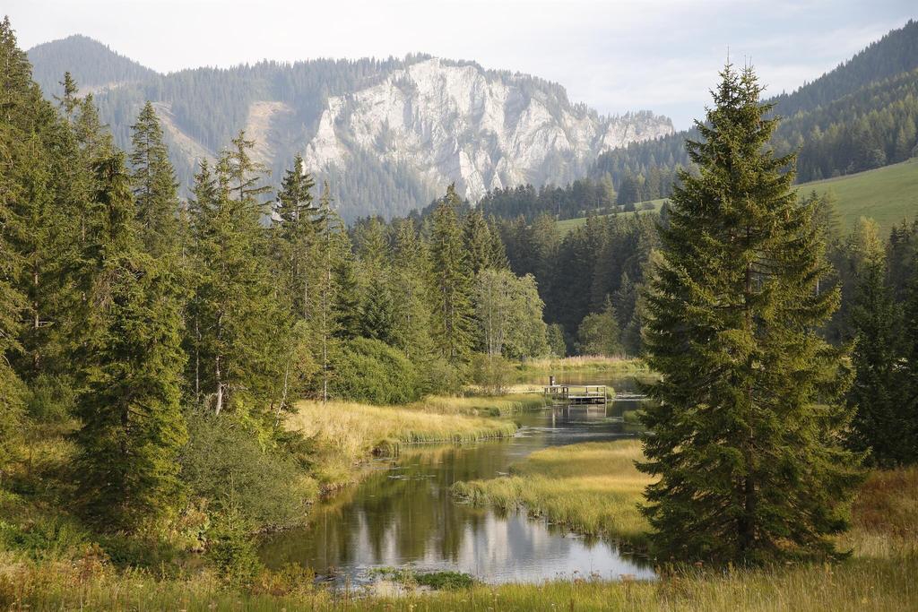 ForellenzuchtWuitz-Teich-Murtal-Steiermark