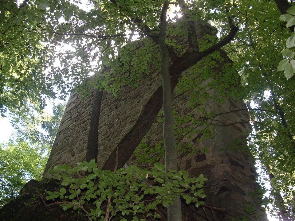 Ruine Saxenegg