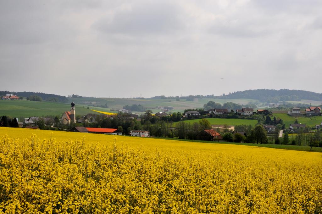 Umwelt und Landwirtschaft Treubach%c2%a9L.Dachs (2000x1328)