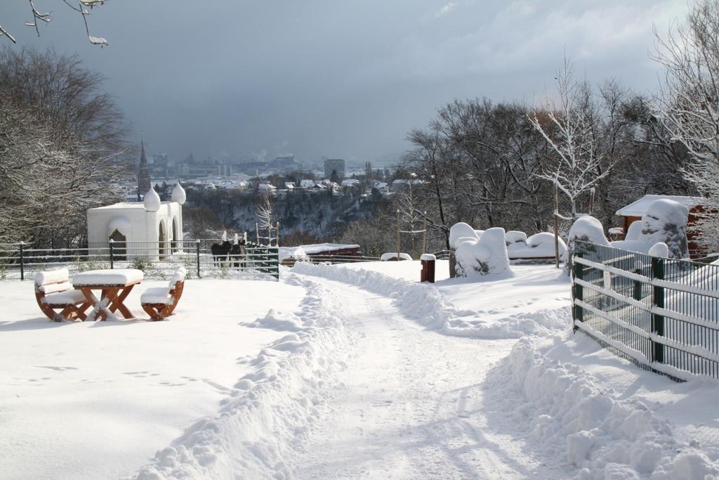 Zoo Linz Winter