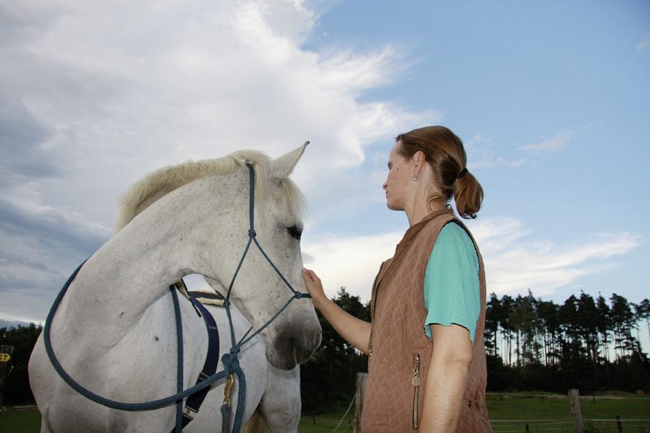 Weißes Pferd