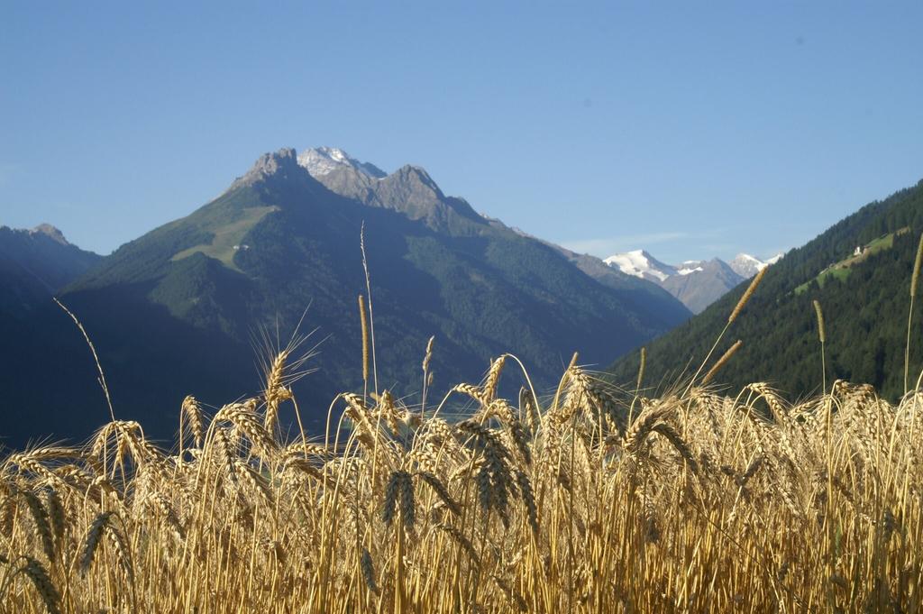 Ãhren mit Blick zum Elfer.JPG