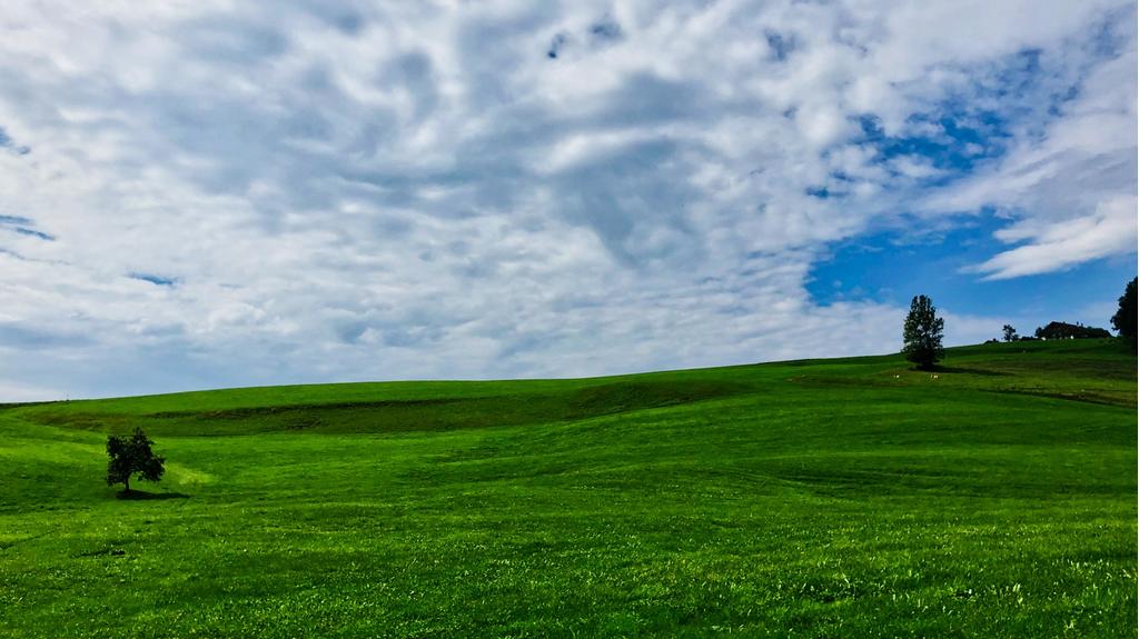 Landschaft kurz nach dem Start in Mondsee