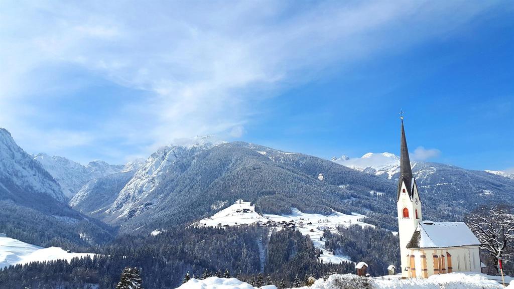 Birnbaum im Winter