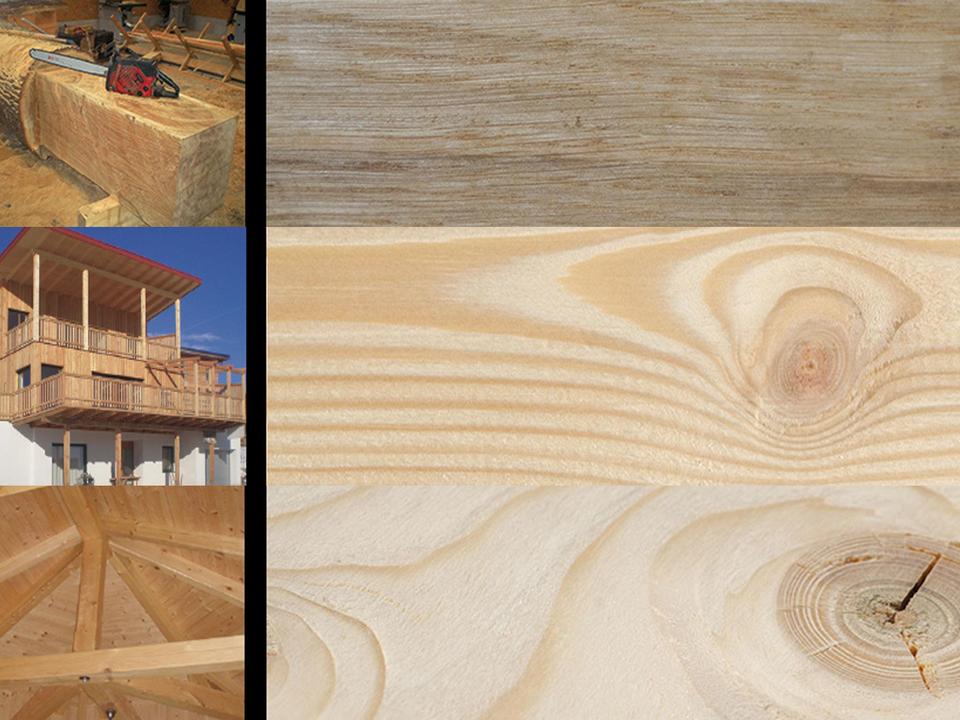 Bammer - Baustoff HOLZ