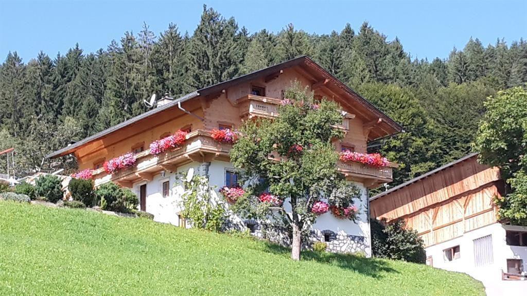 Hausansicht_Sommer