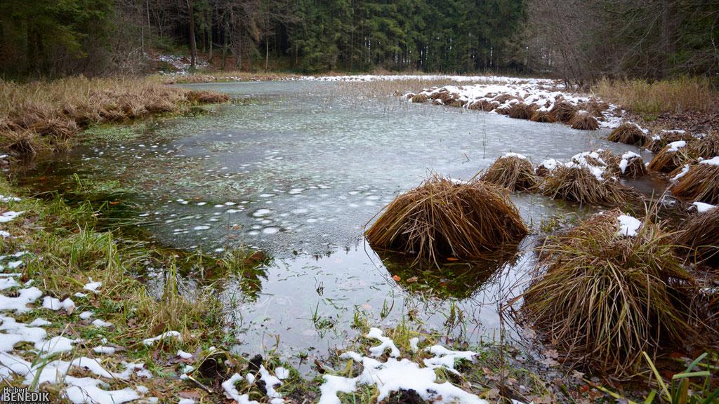 EgelseeSteindorf