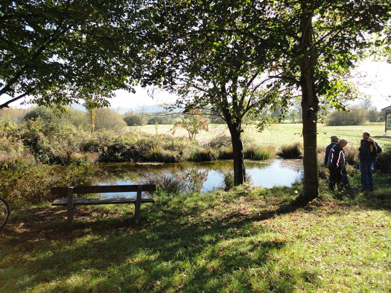 Gerlhamer Moor
