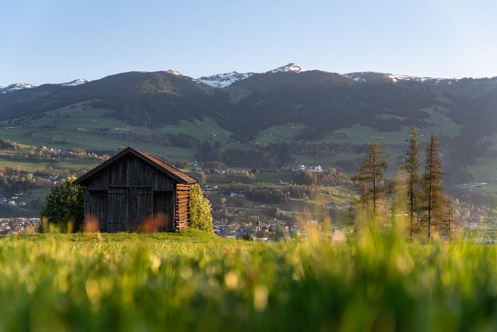 Blick auf die Kitzbüheler Alpen