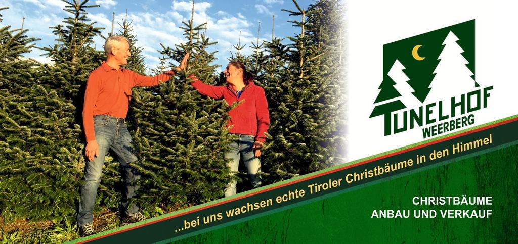 1_Christbaum_vom_tunelhof.jpg