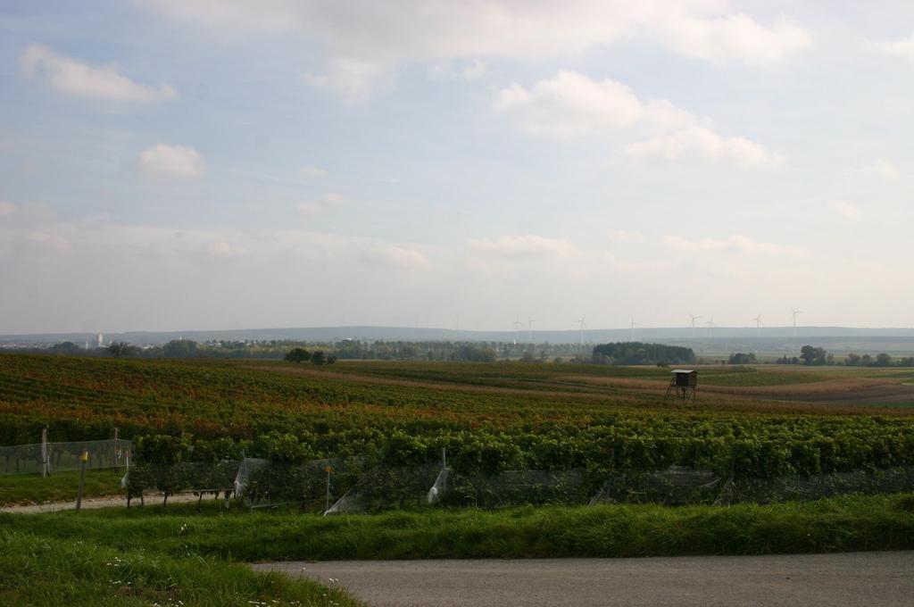 Auf dem Weg von Harka nach Neckendorf