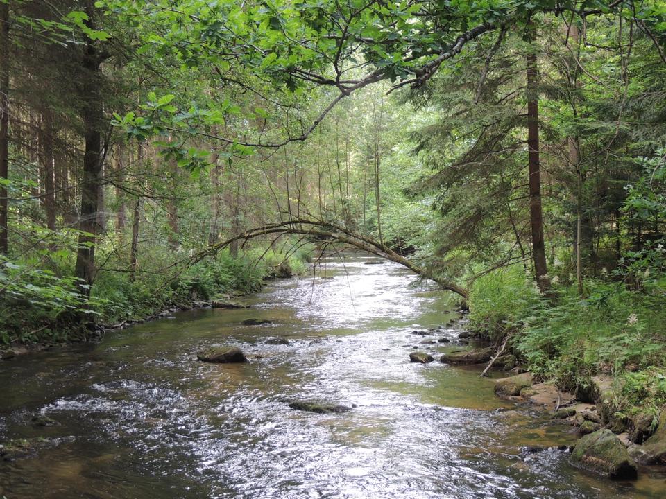 Wandern im Tal der Großen Mühl