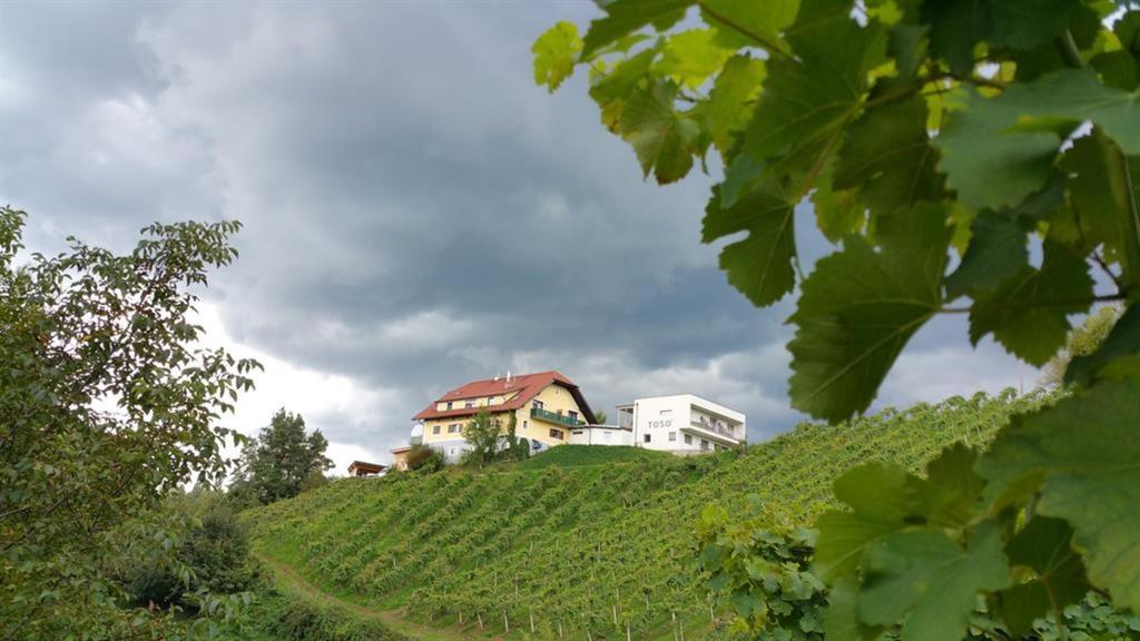 Weingut Toso