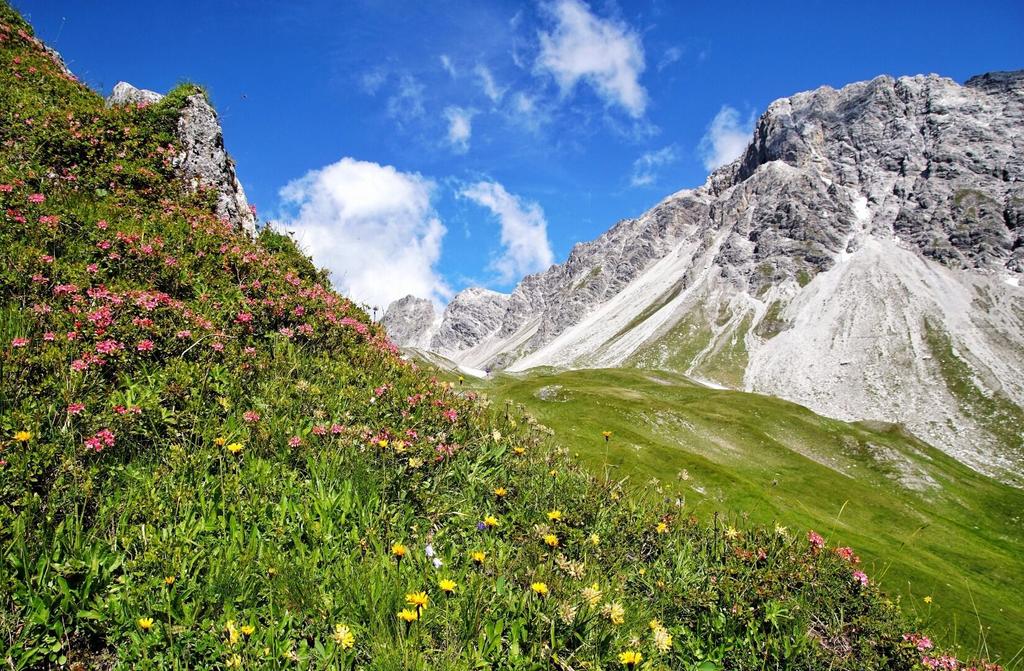 Kapall Weißschrofen