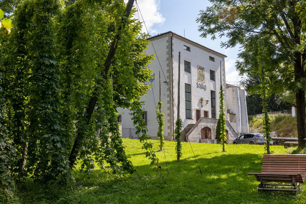 Brauerei_Hopfenkabinett
