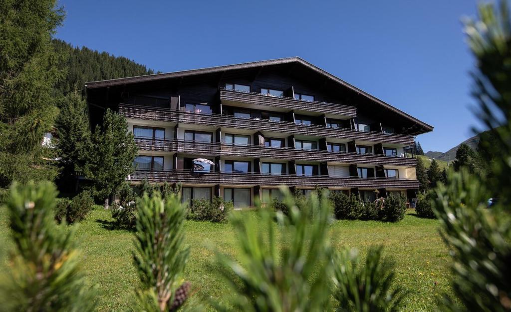 steigerbauer-25-sommer