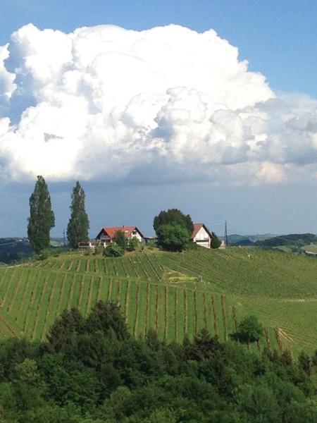 Altes Herrenhaus Ausblick