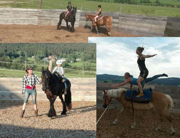Reitstunden und Voltigieren