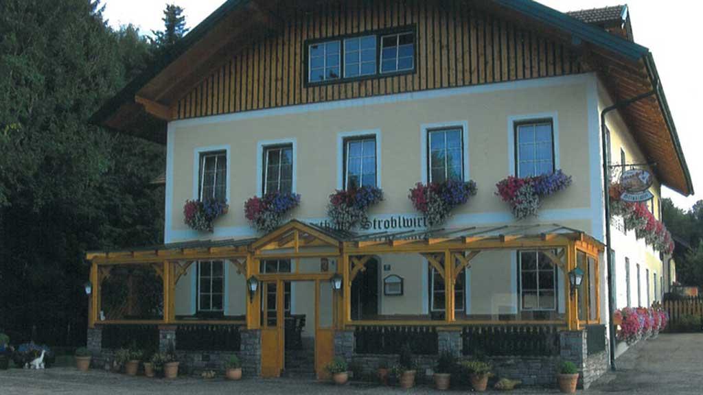 Stroblwirt