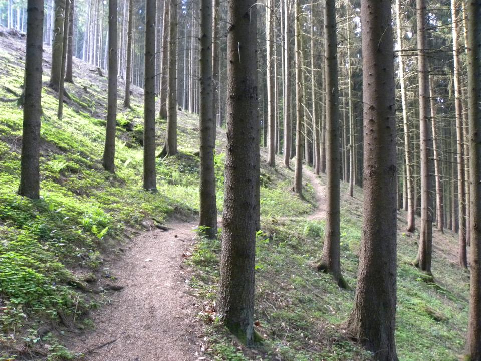 Besonderheiten entdecken