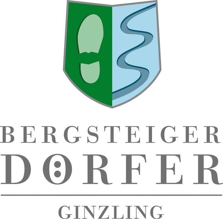 Logo BSD Ginzling