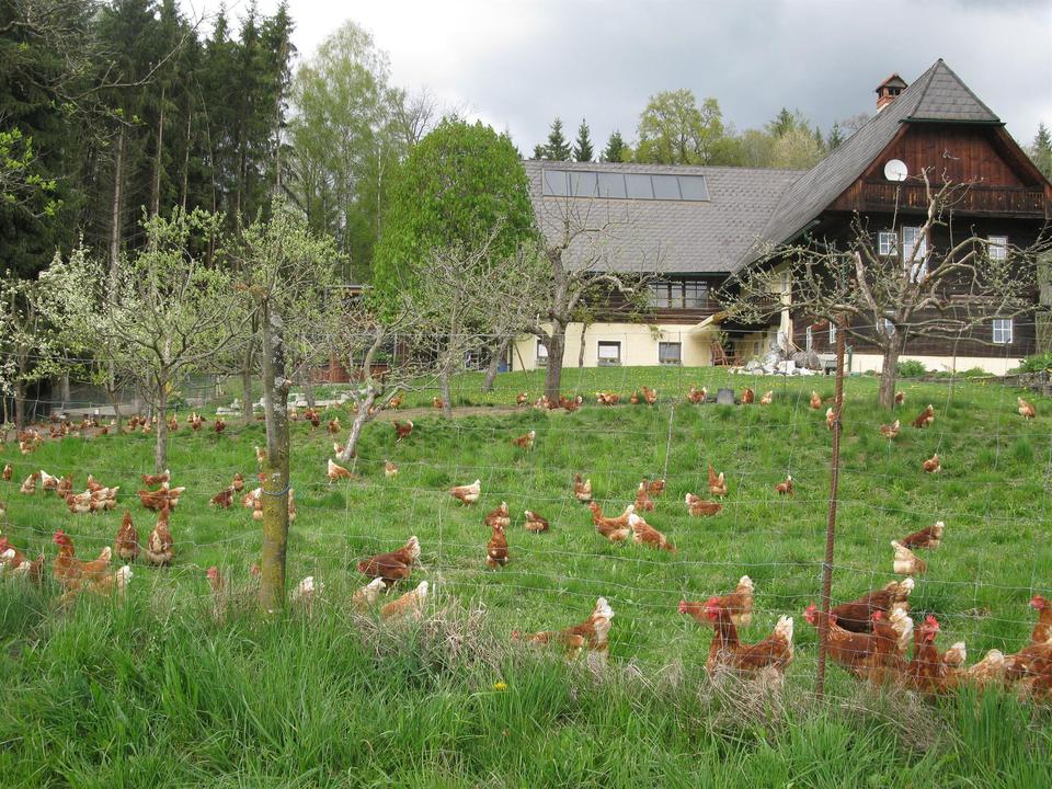 BiohofSteidl-Außenansicht1-Murtal-Steiermark