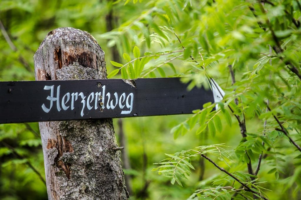 Herzerl