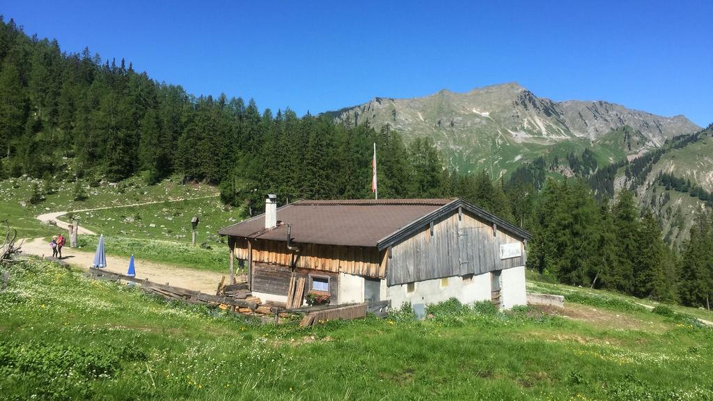 Seekaralm in Achenkirch
