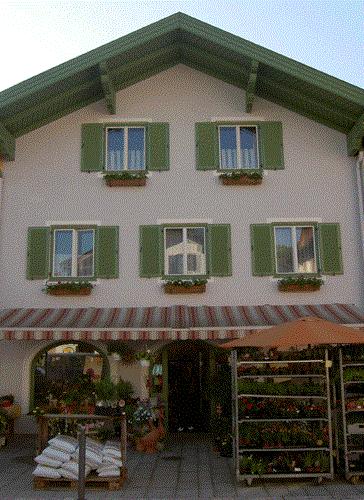 Blumen Niebauer