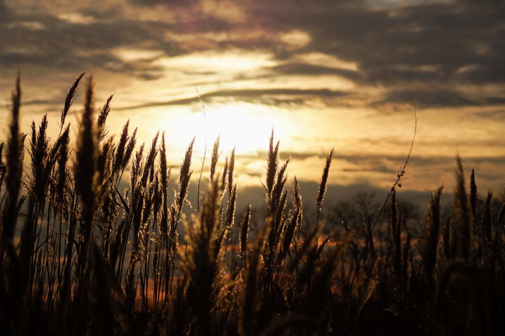 Sonnenuntergang