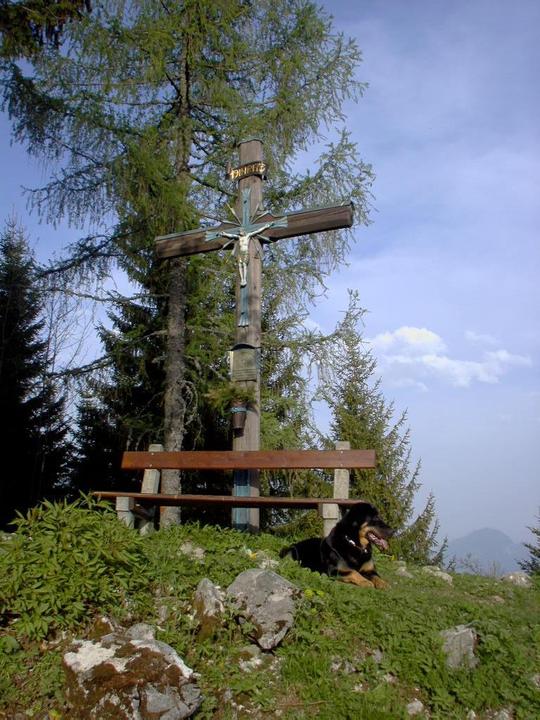 Zinkenkogel Gipfelkreuz